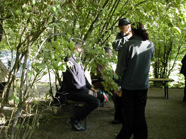 stue2004_02