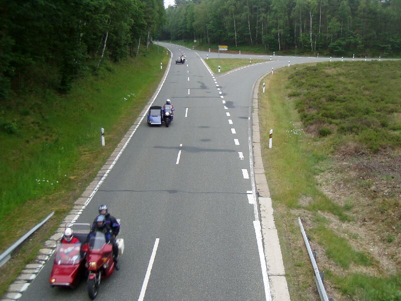 2006_319