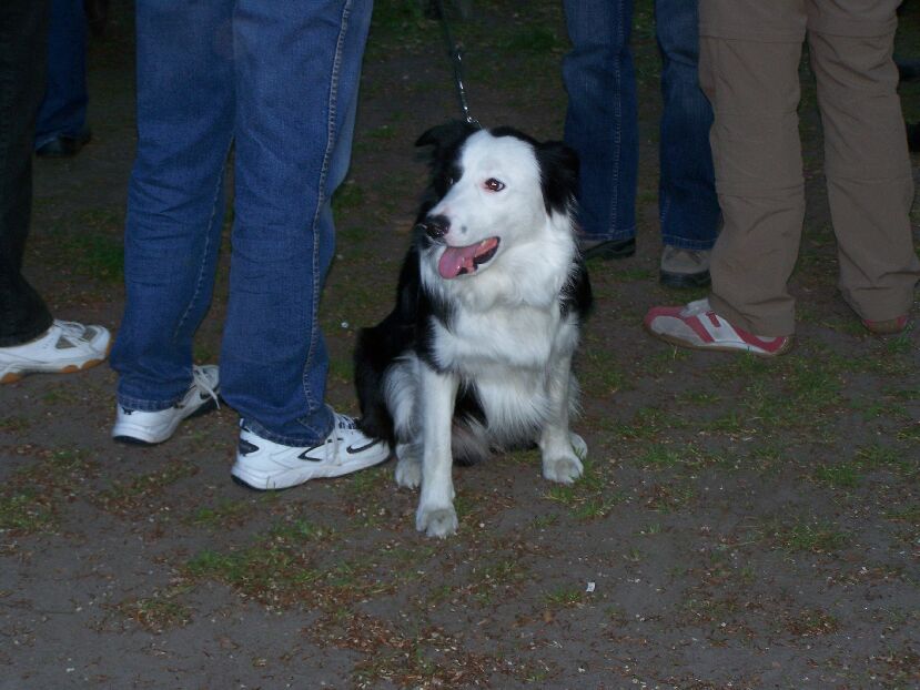 Stue-2008-157