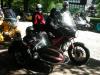 Stue-2008-238