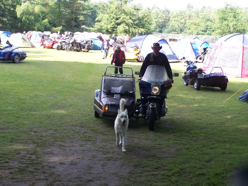 Stue2011-317