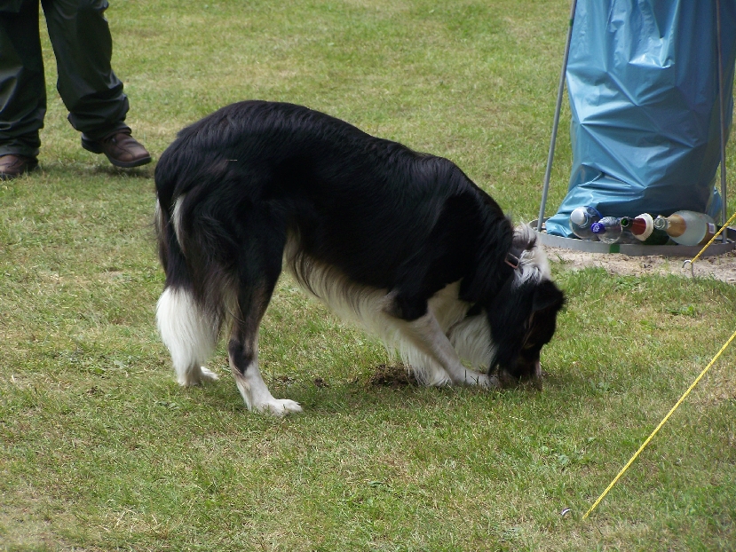 Stue2011-342