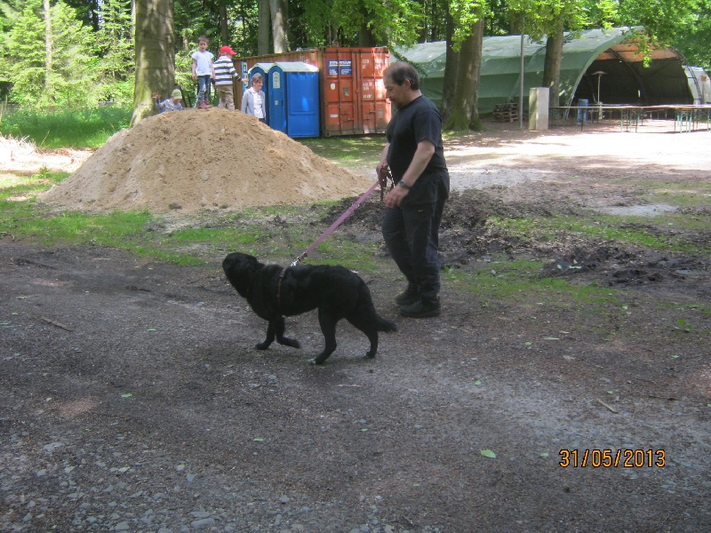 stue2013-224