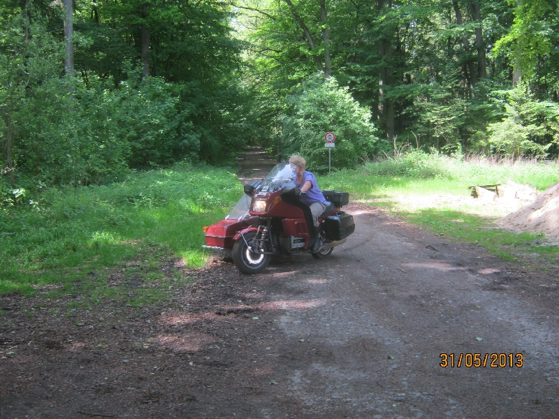 stue2013-229