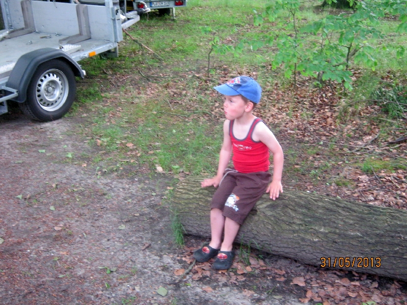 stue2013-239
