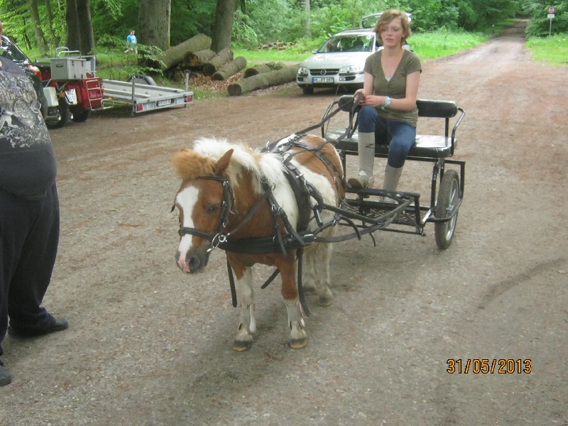 stue2013-248